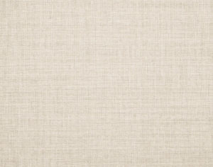 ModernModern Rug