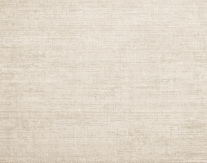 ModernModern Rug