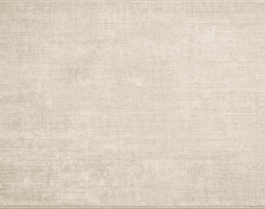 ModernModern Rug