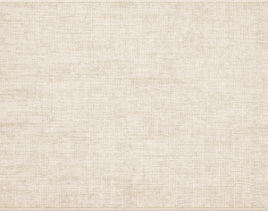 ModernModern Rug