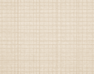 ModernModern Rug