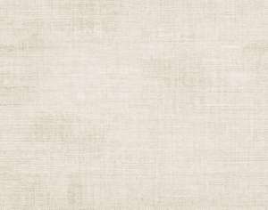 ModernModern Rug