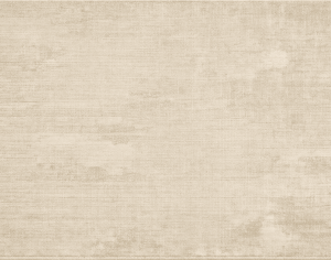 ModernModern Rug