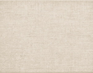ModernModern Rug