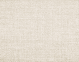 ModernModern Rug