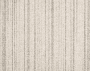 ModernModern Rug