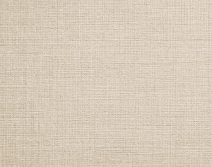 ModernModern Rug