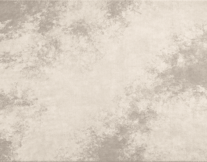 New Chinese StyleChinese Carpet