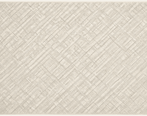 ModernModern Rug