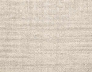 ModernModern Rug