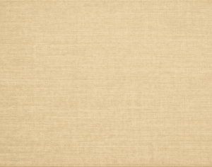 ModernModern Rug