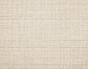 ModernModern Rug