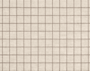 ModernModern Rug