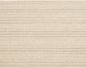 ModernModern Rug