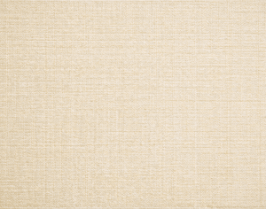 ModernModern Rug