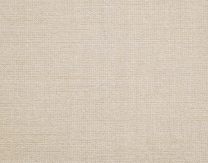 ModernModern Rug