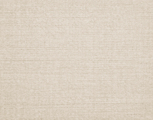 ModernModern Rug