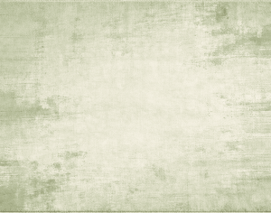 ModernModern Rug
