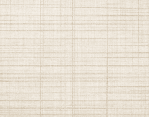 ModernModern Rug