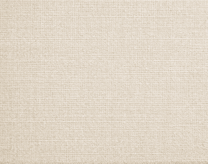ModernModern Rug