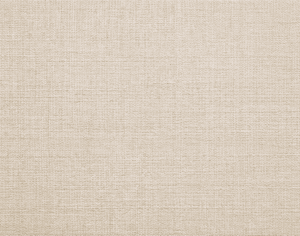 ModernModern Rug