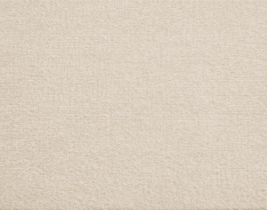 ModernModern Rug