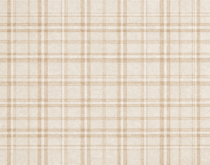 ModernModern Rug