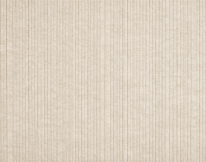 ModernModern Rug