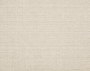 ModernModern Rug