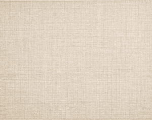 ModernModern Rug