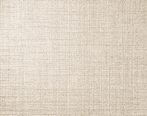 ModernModern Rug