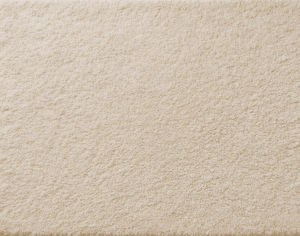 ModernModern Rug