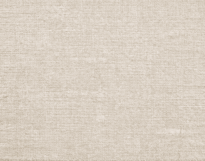 ModernModern Rug
