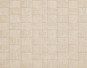 ModernModern Rug