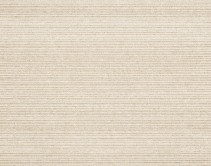 ModernModern Rug
