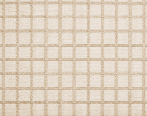 ModernModern Rug