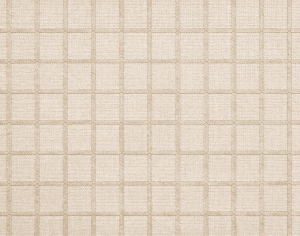 ModernModern Rug
