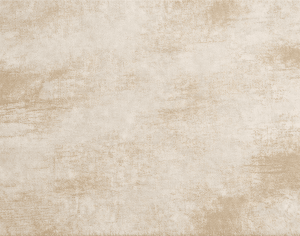 ModernModern Rug