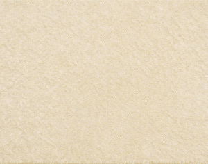 ModernModern Rug