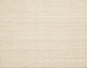 ModernModern Rug