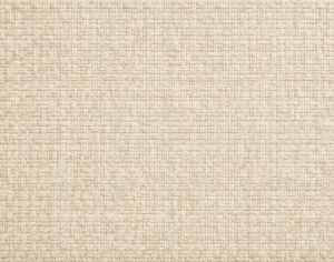 ModernModern Rug