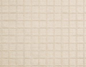 ModernModern Rug