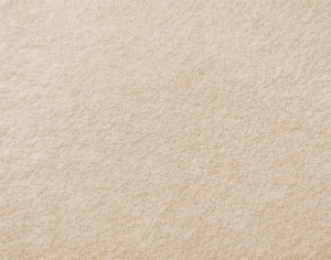 ModernModern Rug