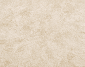 ModernModern Rug