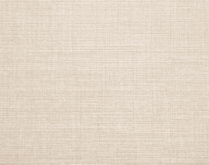 ModernModern Rug