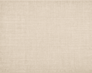 ModernModern Rug