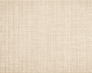 ModernModern Rug