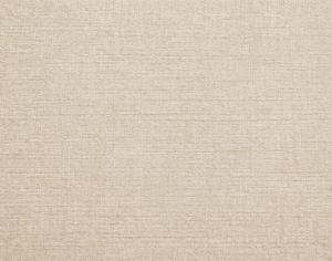 ModernModern Rug