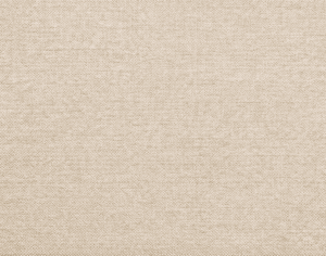 ModernModern Rug
