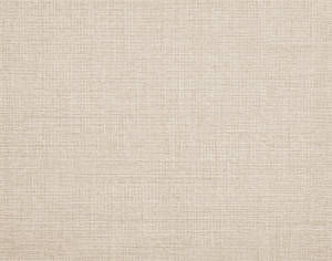 ModernModern Rug